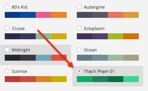 Cách tự thêm màu sắc giao diện trong Admin ở WordPress 3.8